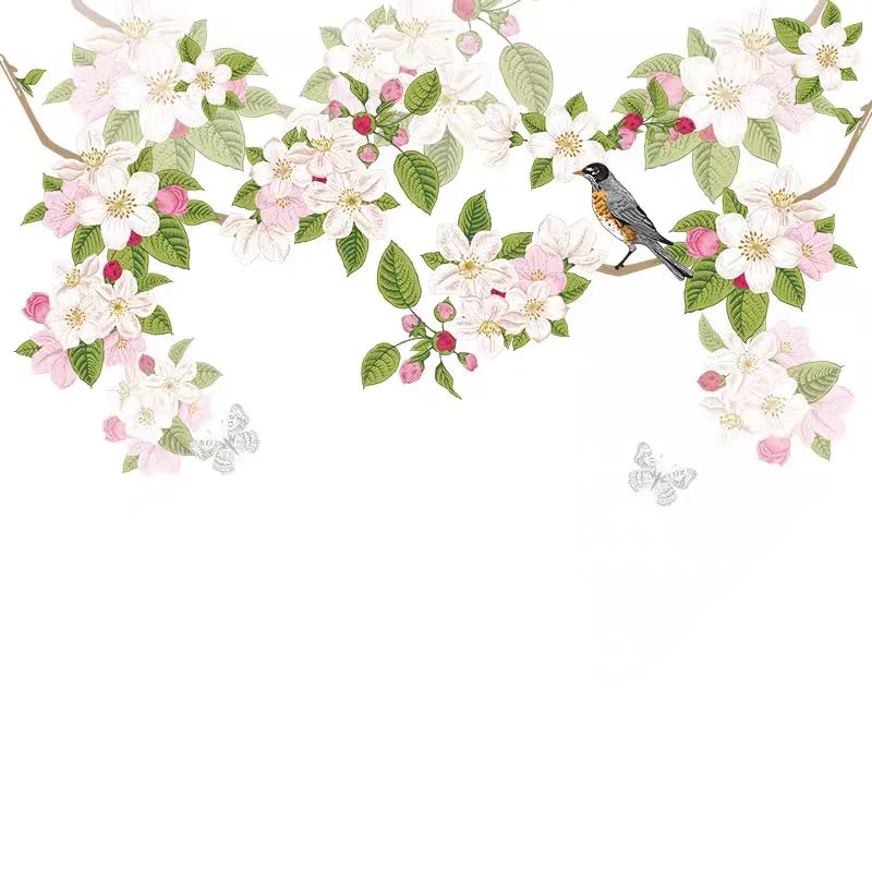 Customized Window Film Glass Stickers Transparent Opaque Living Room Balcony Sliding Door Kitchen Bathroom Matte Film BF01