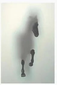 3D Effect Customized horse deer Glass Film Window Sticker Static Self-adhesive Film bedroom Office door Privacy Decal Home Decor