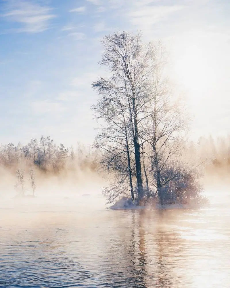 Forest Pattern Glass Films Window Sticker Static Cling Frosted Home Decor Private Tint-Film For Door Window Cabinet Wardrobe