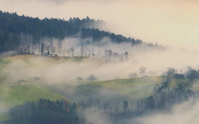 Forest Pattern Glass Films Window Sticker Static Cling Frosted Home Decor Private Tint-Film For Door Window Cabinet Wardrobe