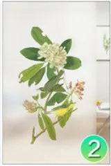 Custom Glass Films Window Film Electrostatic Frosted Flower Bird Glass Stickers For Kitchen Bathroom Bedroom Office Home Decor