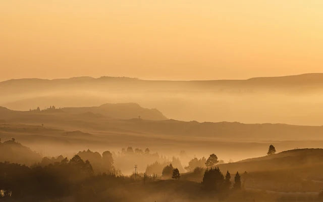 Forest Pattern Glass Films Window Sticker Static Cling Frosted Home Decor Private Tint-Film For Door Window Cabinet Wardrobe