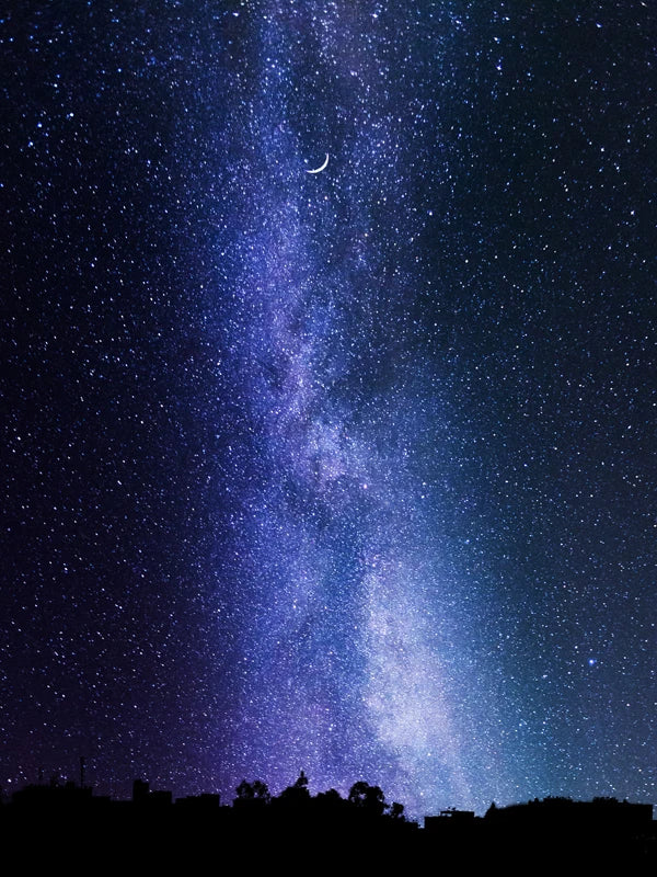 Stained Glass Window Film Frosted Glass Sticker Forest Customized Meteor Moon Sun For Bathroom Bedroom Kitchen  Door Home Decor