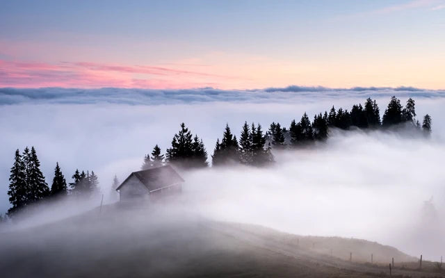 Forest Pattern Glass Films Window Sticker Static Cling Frosted Home Decor Private Tint-Film For Door Window Cabinet Wardrobe