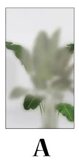 Custom Glass Window Film Static Frosted Light Transmitting Sticker, Home Foil Stickers ,Waterproof Easy to install Plant shadow