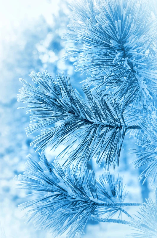 Custom Size Frosted Window Film Privacy Sticker Window Stickers Stained Glass Opaque Static Cling Snow in Winter-Cool in Summer