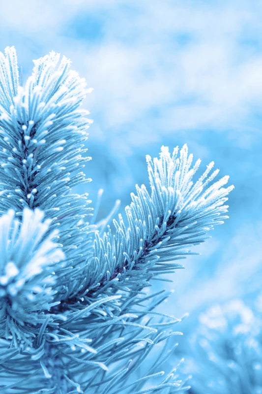 Custom Size Frosted Window Film Privacy Sticker Window Stickers Stained Glass Opaque Static Cling Snow in Winter-Cool in Summer