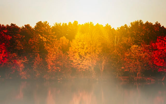 Forest Pattern Glass Films Window Sticker Static Cling Frosted Home Decor Private Tint-Film For Door Window Cabinet Wardrobe