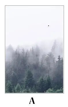 Stained Glass Wndow film Frosted Glass Sticker Forest Self adhesive or Static Cling  Custom Size 50x90cm/pc