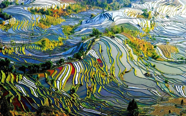 Custom Size Stained Glass Window Film, Frosted Glass Sticker, Kitchen, Kids Room, Door, Bathroom, Home Decor