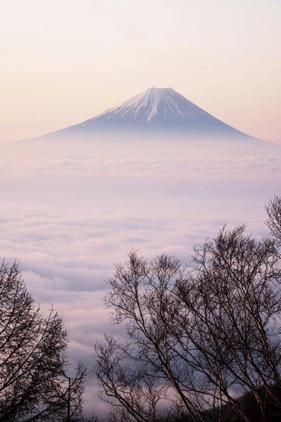 Frosted Stained Glass Window Film, Customized,Scenery,Tree,Waterfall,Static Cling Sticker,Home Decor