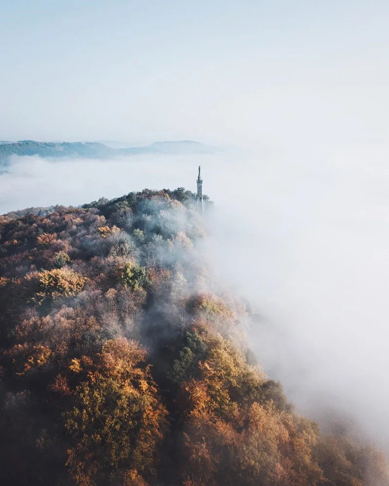 Forest Pattern Glass Films Window Sticker Static Cling Frosted Home Decor Private Tint-Film For Door Window Cabinet Wardrobe