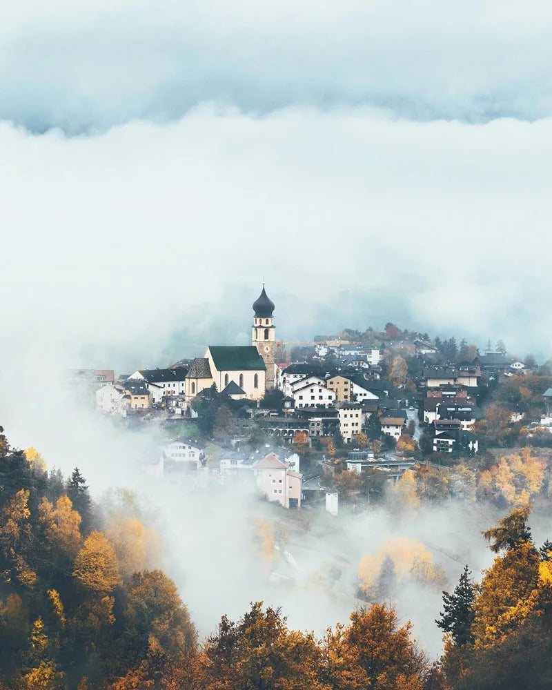 Forest Pattern Glass Films Window Sticker Static Cling Frosted Home Decor Private Tint-Film For Door Window Cabinet Wardrobe