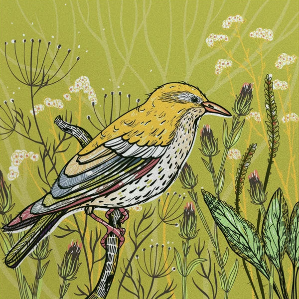 Stained Glass Window Film, Custom Size, Static Cling, Frosted,Cat, Bird, Rabbit Print, Door, Home Decor