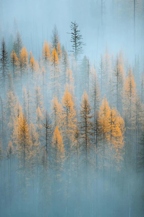 Custom Size Stained Glass Window Film Door Stickers Frosted Privacy Protection Reusable Removable Home-Decor Window Covering