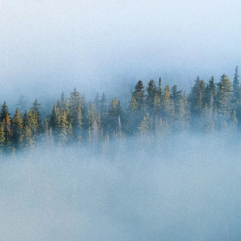 Stained Glass Wndow Films,Frosted Glass Sticker,Static Cling,for Bathroom Kiechen Door Office Home Decor Custom size Mountain