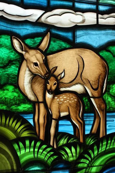 Custom Size Stained Glass Window Film Animal Pattern Rabbit Crow  Bird Fox For Rectangular Shape Glass Office Home Decor