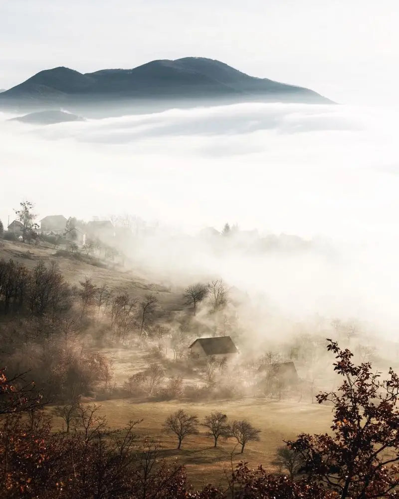 Forest Pattern Glass Films Window Sticker Static Cling Frosted Home Decor Private Tint-Film For Door Window Cabinet Wardrobe