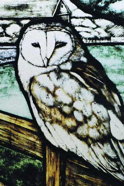 Custom Size Stained Glass Window Film Animal Pattern Rabbit Crow  Bird Fox For Rectangular Shape Glass Office Home Decor