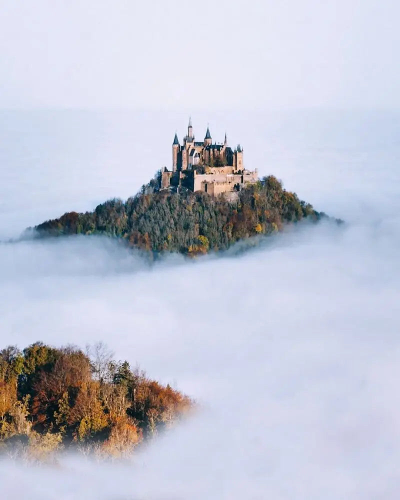 Forest Pattern Glass Films Window Sticker Static Cling Frosted Home Decor Private Tint-Film For Door Window Cabinet Wardrobe