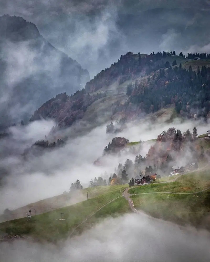 Forest Pattern Glass Films Window Sticker Static Cling Frosted Home Decor Private Tint-Film For Door Window Cabinet Wardrobe