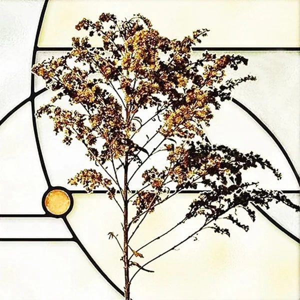 Window Film Frosted Stained Glass Films,Customized Art Deco Design Flowers Static Cling Sticker,Home Decor Foil Window Treatment