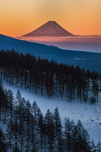 Frosted Stained Glass Window Film, Customized,Scenery,Tree,Waterfall,Static Cling Sticker,Home Decor