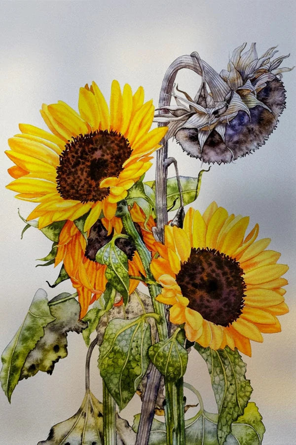 Frosted Stained Glass Window Film, Customized Decor Design, Flower Static Cling Sticker,Home Decor Foil, Treatment