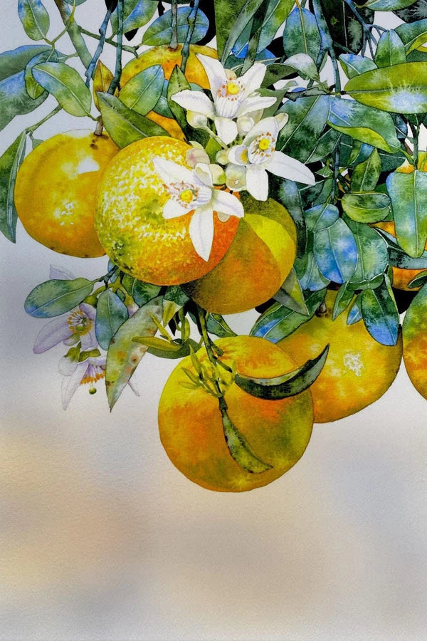 Frosted Stained Glass Window Film, Customized Decor Design, Flower Static Cling Sticker,Home Decor Foil, Treatment