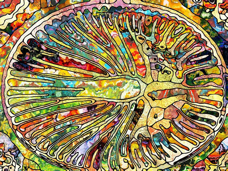 Stained Glass Window Film Frosted Glass Sticker Forest Customized Abstract design for Bathroom Kitchen Door Office Home Decor