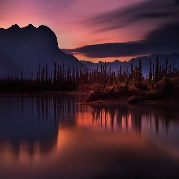 Stained Glass Window Film Frosted Glass Sticker Forest Opaque,Customized Print Mountain For Bathroom Door Office Home Decor