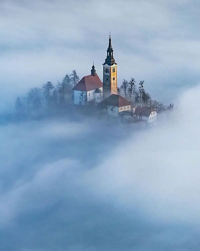 Forest Pattern Glass Films Window Sticker Static Cling Frosted Home Decor Private Tint-Film For Door Window Cabinet Wardrobe