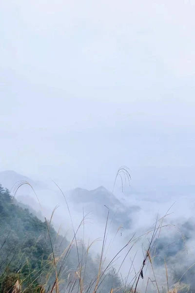 Stained Glass Window Glass Film Frosted Sticker Static Cling,Custom made to fit any Window Size/Shape,Print with Your Photo