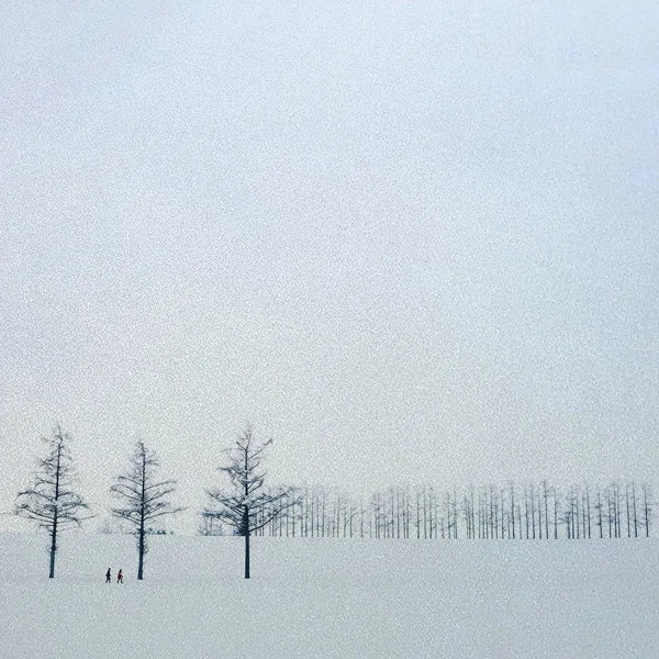 Custom Size Window Glass Films Window Film,Frosted Static Cling, Privacy Opaque,Art Pictures Trees,Shower Nordic Obscure Posters