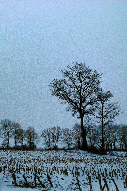 Custom Size Stained Glass Window Film Door Stickers Frosted Privacy Protection Reusable Removable Home-Decor Window Covering