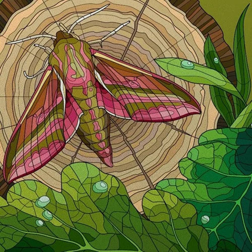 Frosted Stained Glass Film, Customized Art Deco Design, Color Static Cling Sticker,Home Decor Foil, Window Treatment