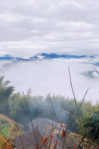 Stained Glass Window Glass Film Frosted Sticker Static Cling,Custom made to fit any Window Size/Shape,Print with Your Photo