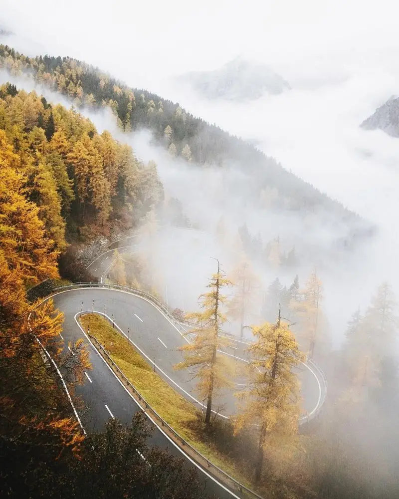 Forest Pattern Glass Films Window Sticker Static Cling Frosted Home Decor Private Tint-Film For Door Window Cabinet Wardrobe