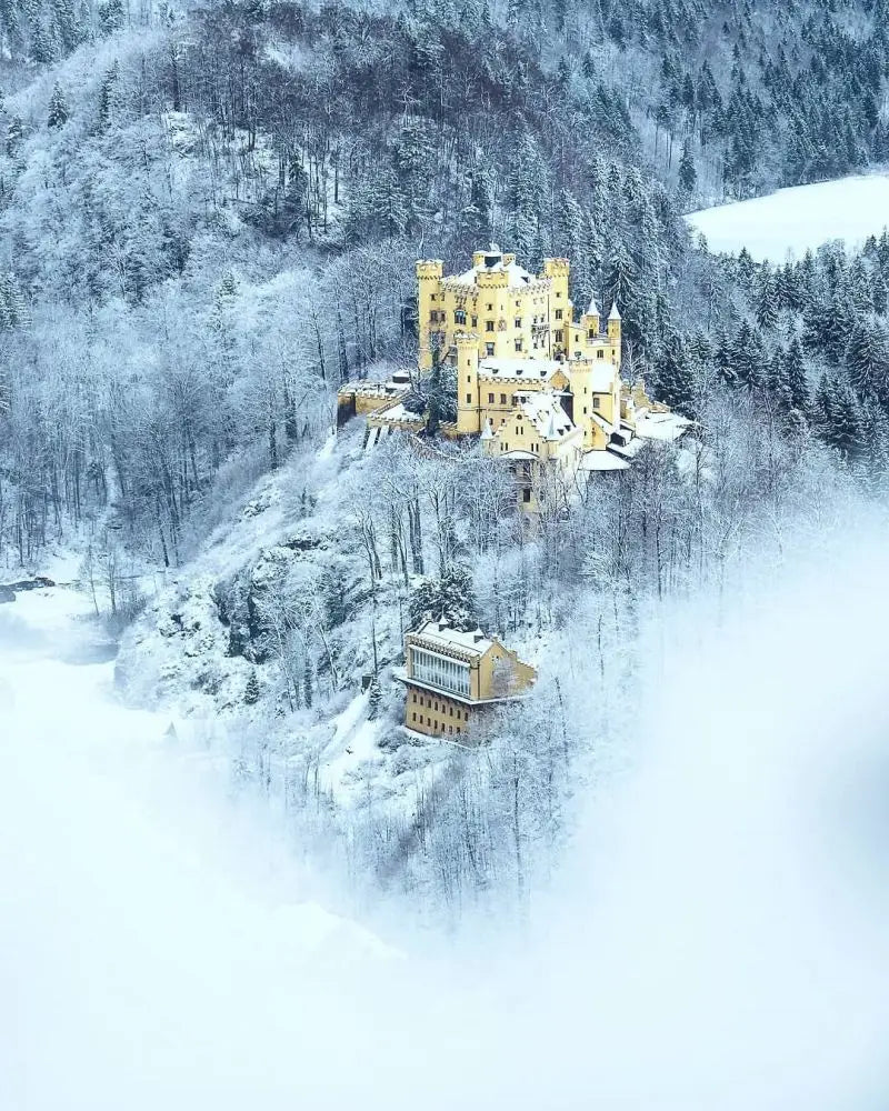 Forest Pattern Glass Films Window Sticker Static Cling Frosted Home Decor Private Tint-Film For Door Window Cabinet Wardrobe