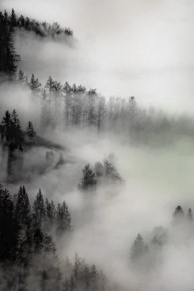 Frosted Stained Glass Window Film, Customized,Scenery,Tree,Waterfall,Static Cling Sticker,Home Decor