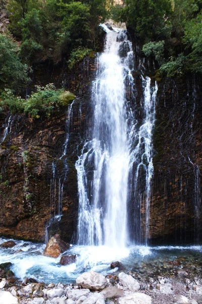 Frosted Stained Glass Window Film, Customized,Scenery,Tree,Waterfall,Static Cling Sticker,Home Decor