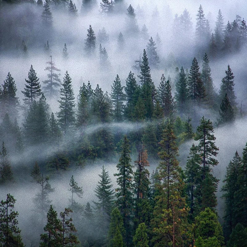 Stained Glass Wndow Films,Frosted Glass Sticker,Static Cling,for Bathroom Kiechen Door Office Home Decor Custom size Mountain