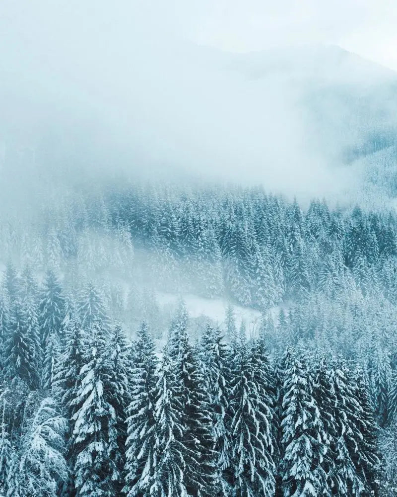 Forest Pattern Glass Films Window Sticker Static Cling Frosted Home Decor Private Tint-Film For Door Window Cabinet Wardrobe