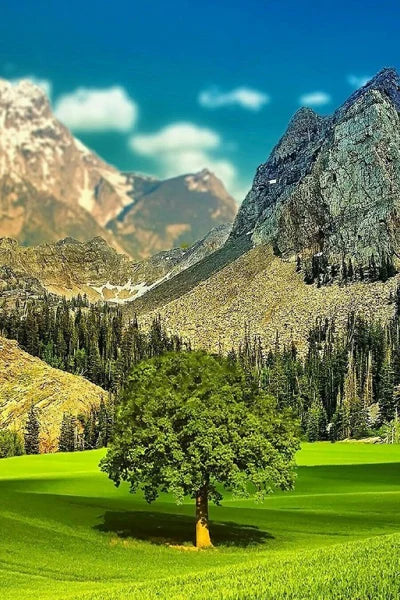 Frosted Stained Glass Window Film, Customized,Scenery,Tree,Waterfall,Static Cling Sticker,Home Decor