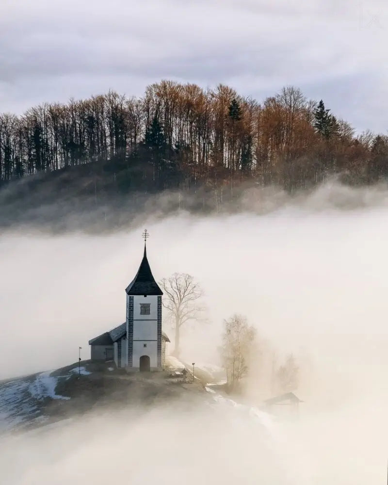 Forest Pattern Glass Films Window Sticker Static Cling Frosted Home Decor Private Tint-Film For Door Window Cabinet Wardrobe