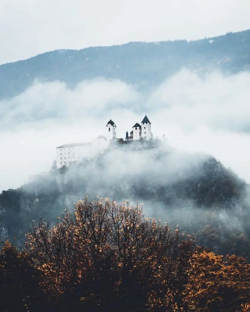 Forest Pattern Glass Films Window Sticker Static Cling Frosted Home Decor Private Tint-Film For Door Window Cabinet Wardrobe