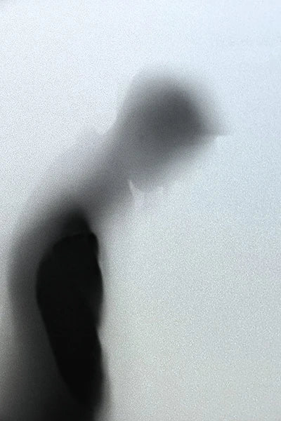 Custom Size Window Glass Films Window Film Static Cling Art Pictures Beauty Women Nude Girl Shower Nordic Obscure Posters