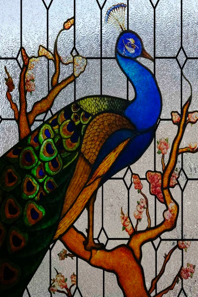 3D Matte Window Film,Stained Glass Decorative Uv Window Sticker,Privacy Frosted Static Cling,Custom size for Glass,Birds,Peacock