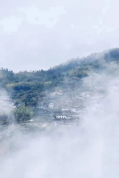 Stained Glass Window Glass Film Frosted Sticker Static Cling,Custom made to fit any Window Size/Shape,Print with Your Photo