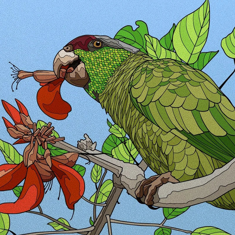 Window Film Frosted Stained Glass Films Static Cling Privacy Door Sticker Kitchen Office Home Decor Birds Peacock Customized